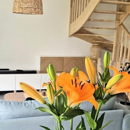 Maison Moderne A באדן מראה חיצוני תמונה